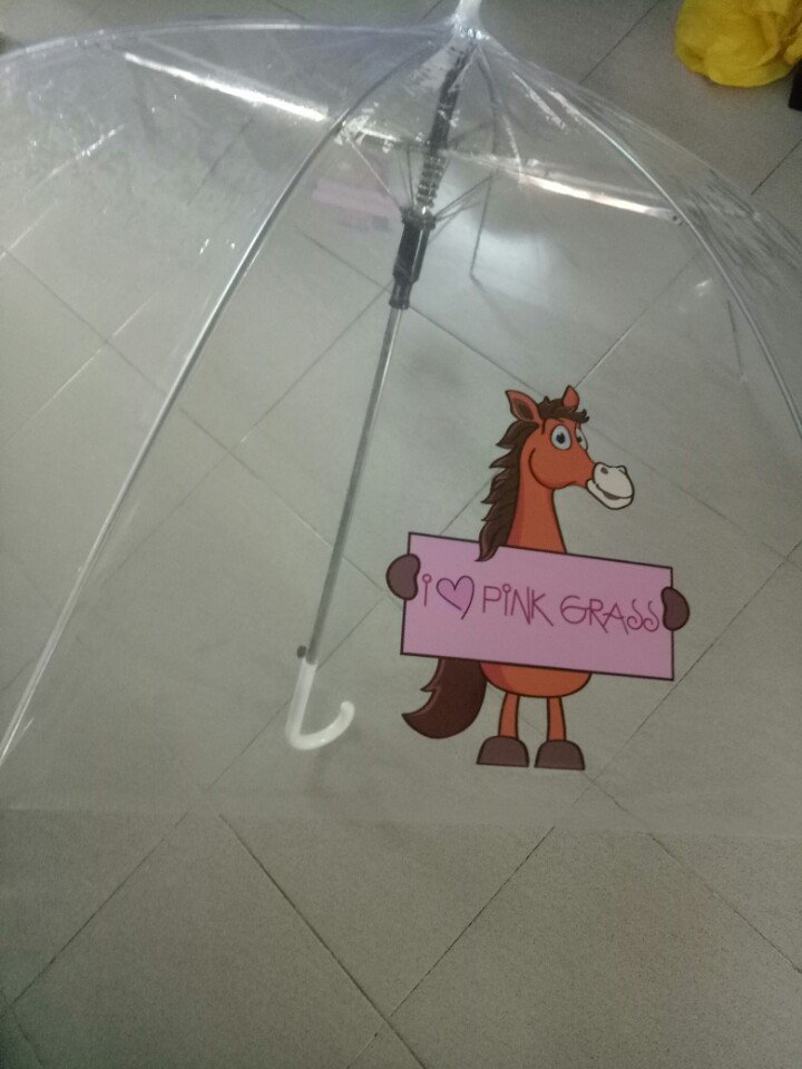 In trên dù